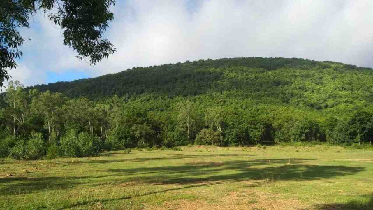 পুরুলিয়া নয়, আগুনরঙা পলাশ দেখতে দোলে ঘুরে আসুন এই পাহাড়ি গ্রামে