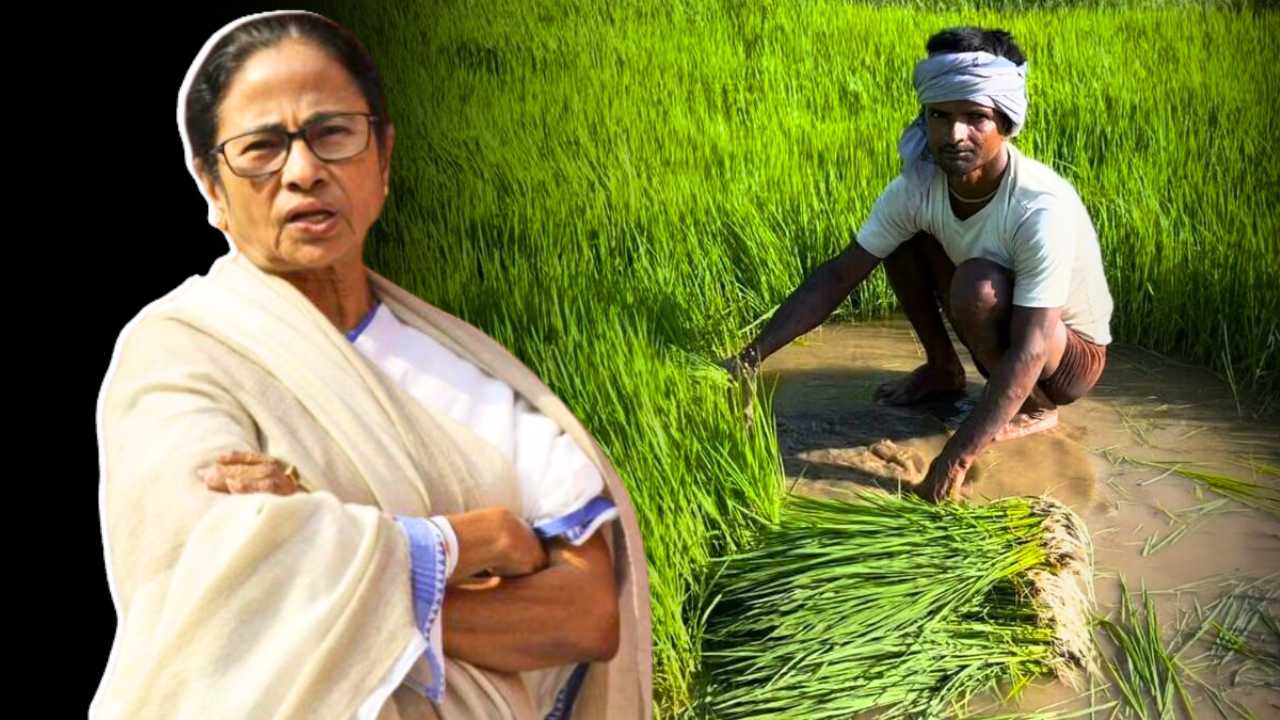 ভূমিহীন ক্ষেতমজুরদের অ্যাকাউন্টে কবে ঢুকবে টাকা? দিন ঘোষণা মুখ্যমন্ত্রীর