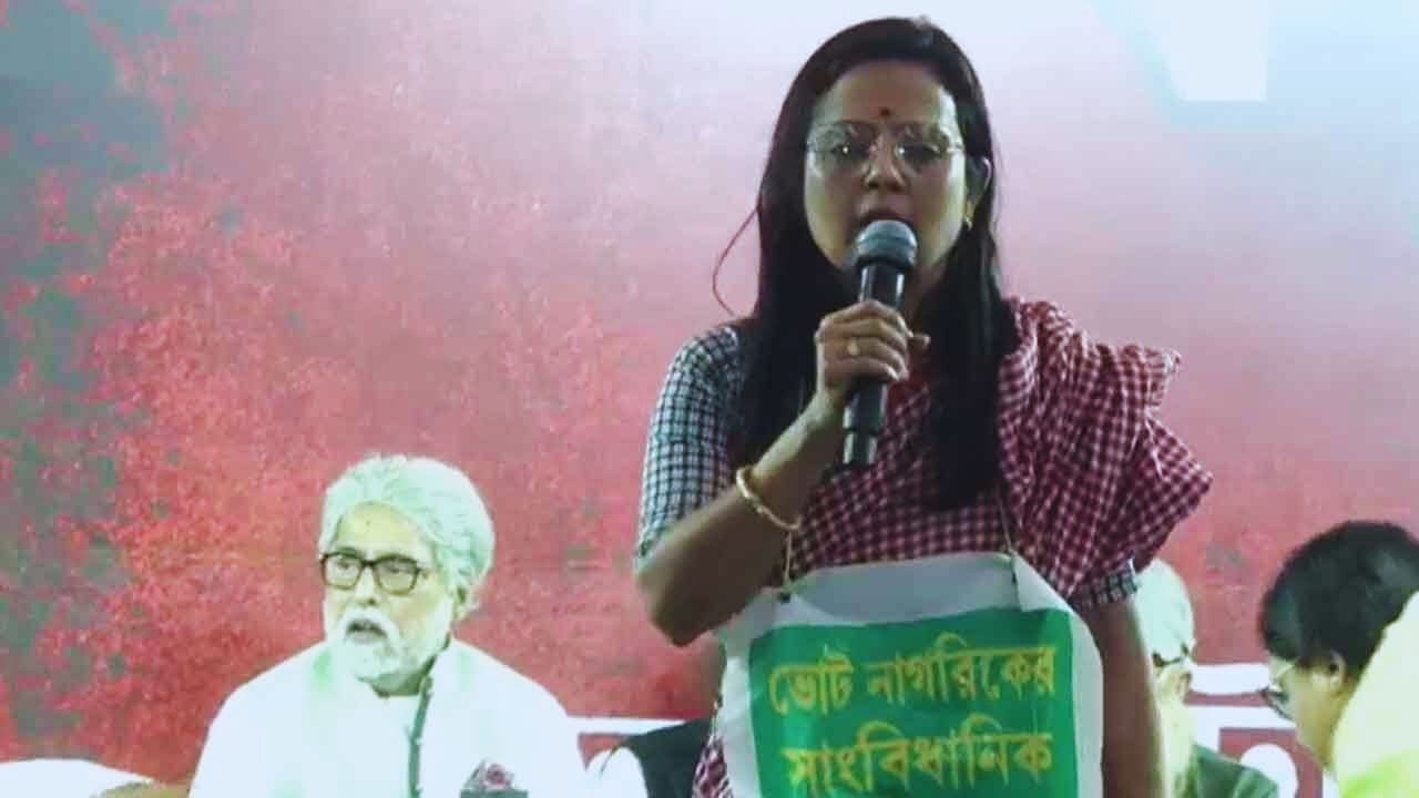‘যারা তৃণমূলের সঙ্গে নয়, তারা বাঙালি নয়!’  মহুয়া মৈত্রর মন্তব্য ঘিরে তুঙ্গে বিতর্ক