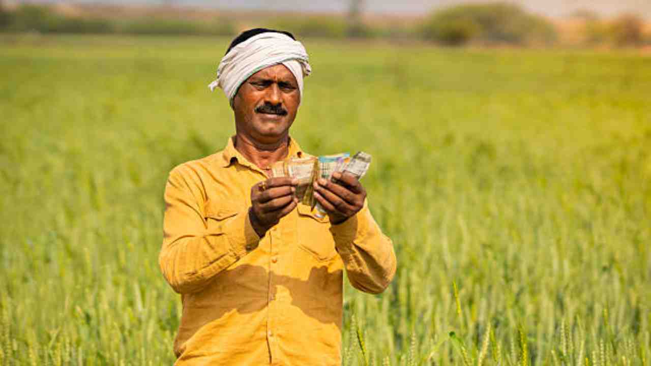 কৃষকরা কবে পাবেন পিএম কিষাণের ২২ তম কিস্তির টাকা? এভাবে চেক করুন স্ট্যাটাস