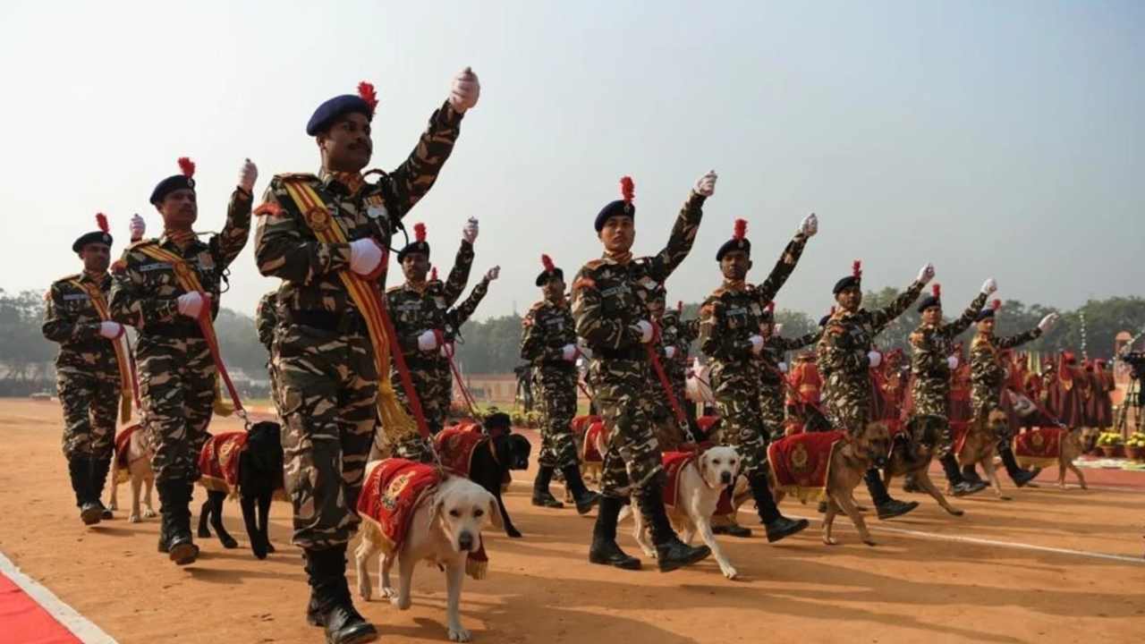 শুরুতেই বেতন ২১,৭০০! SSB-তে মাধ্যমিক পাসে কনস্টেবল নিয়োগ