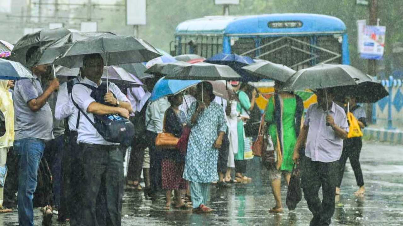 সোমেও দক্ষিণবঙ্গ জুড়ে বৃষ্টি, ভিজবে কোন কোন জেলা? আগামীকালের আবহাওয়া